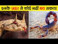 दुनिया के सबसे जहरीले जानवर Most Poisonous Animals In 