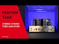 Fenton Amplificateur TA60