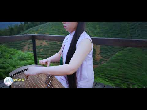 古箏《曉霧》王中山曲｜台灣采樂–伽倻箏