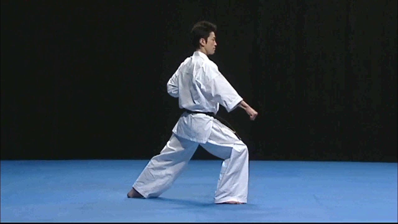 Pirmoji kata
