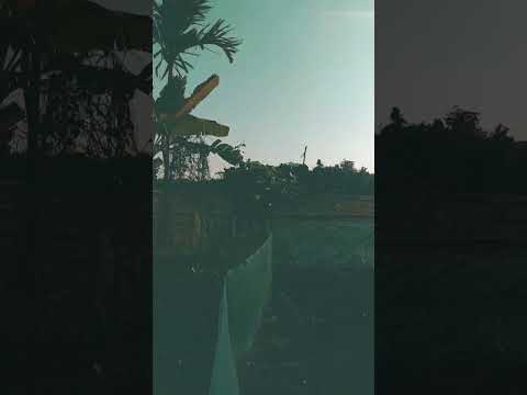 Samudra Bhav hashtag#ramdhan #photo🙄👍