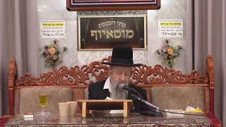 הרב בן ציון מוצפי • מוסאיוף שידור חי (הרב בן ציון מוצפי) - התמונה מוצגת ישירות מתוך אתר האינטרנט יוטיוב. זכויות היוצרים בתמונה שייכות ליוצרה. קישור קרדיט למקור התוכן נמצא בתוך דף הסרטון הרב בן ציון מוצפי • מוסאיוף שידור חי (הרב בן ציון מוצפי) - התמונה מוצגת ישירות מתוך אתר האינטרנט יוטיוב. זכויות היוצרים בתמונה שייכות ליוצרה. קישור קרדיט למקור התוכן נמצא בתוך דף הסרטון