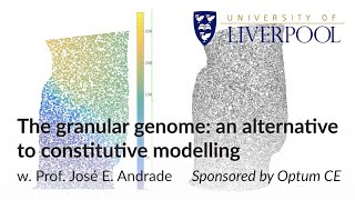 The granular genome: an alternative to constitutive modelling