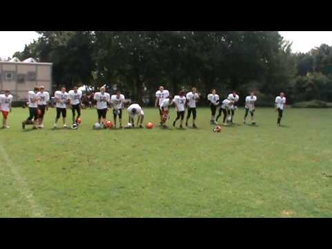 Gameday 24.07 Cougars/Warriors vs. Crusaders/Mammuts