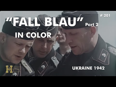 201 #Ukraine #Russia 1942 ▶ Fall Blau Color (2) 14. Panzer-Division / Pz-Regiment 36 (July) Donez