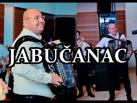 Orkestar Milana Jovanovica Jabucanca Uzivo kolo Loznica 2025 Live Mix