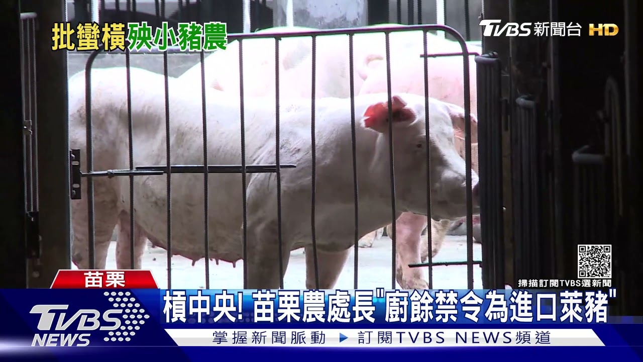 槓中央!苗栗農處長「廚餘禁令為進口萊豬」