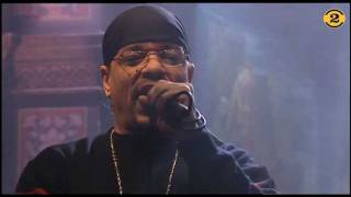 Ice-T &amp; Jan Akkerman - Common Sense (Live on 2 Meter Sessions)