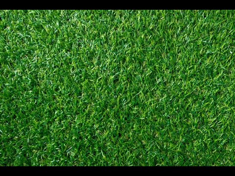 Partie carrée - Edouard Manet - Les scandales de l'Art - Véronique Mulle