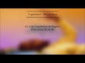 Vegedream Ma Go Sûre LYRICS