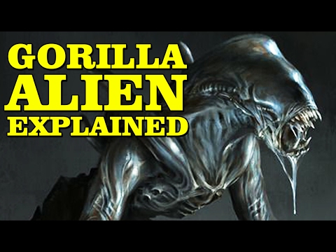 GORILLA ALIEN EXPLAINED XENOMORPH PRIMATE Video