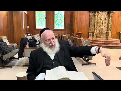 Does the Rebbe own the Shul | Shiur By Rav Asher Weiss Shlit"a
