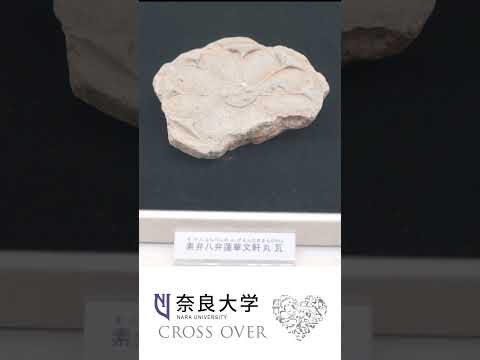 言語文化学科 【奈良大学＆斑鳩町の共同調査】古墳発掘の成果を紹介 #奈良大学 #奈良大 #斑鳩 #古墳 #shorts