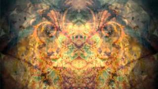 Michael Franti &amp; Spearhead - The Only Thing Missing Was You {Molten Remix}