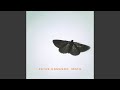 Moth