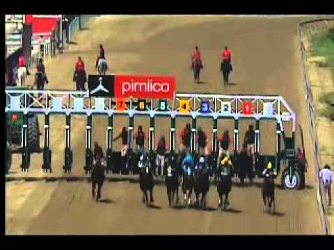 Pimlico 05/08/15 race 4
