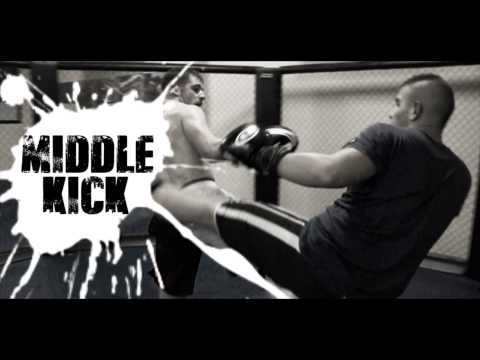Video thumbnail for La Poignée de Punchlines #22