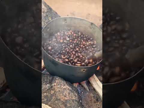 Join me as I prepare Ude Akị