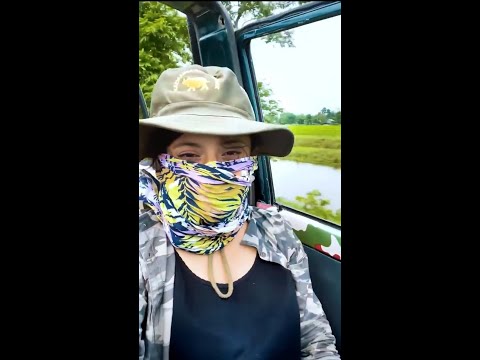 Manas National Park | Wildlife safari tour | Wildlife Photography | One Horn Rhinoceros and Elephant