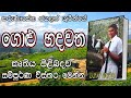 golu hadawatha | sinhala novels | ගොළු හදවත | සිංහල නවකතා | කරුණාසේන ජයලත් | පොත පත | potha patha