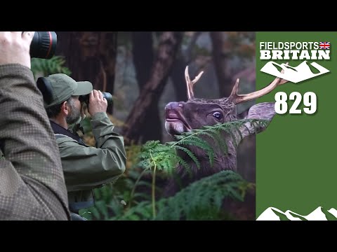 Fieldsports Britain – Monster deer of Dorset