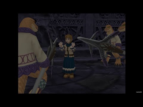 Suikoden 3 Walkthrough: #48 Request for Help