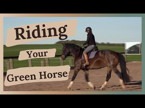 Training A Young Horse | Go Stop And Find Balance