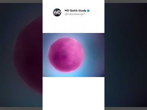 DNA🧬To Protein Synthesis in 3D Animation | Biology in Real life #biology #dna #protine #animation