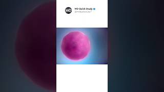 DNA🧬To Protein Synthesis in 3D Animation | Biology in Real life #biology #dna #protine #animation