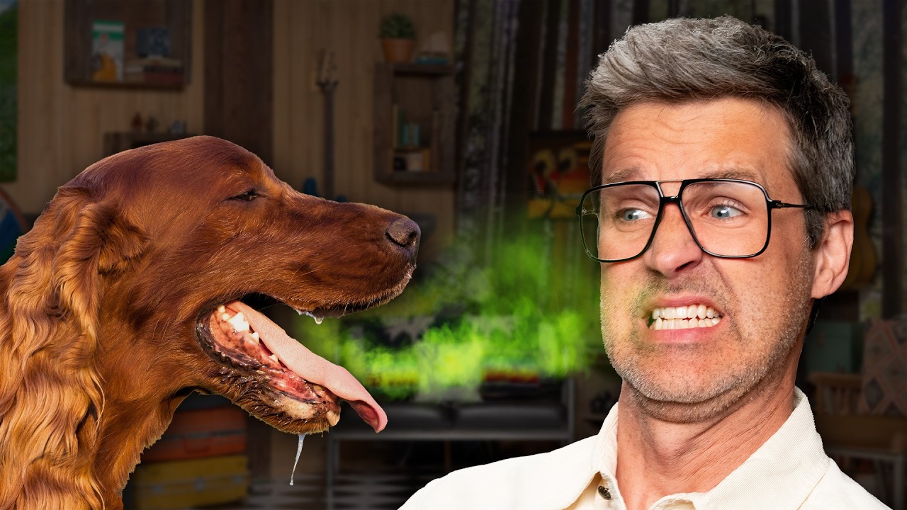 Yuck! A Dog Licked My Mouth: The Link Neal Story
