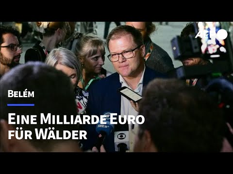 Deutschland sagt eine Milliarde Euro für Waldschutzfonds zu | AFP