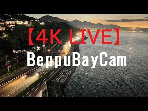 Camera Offline