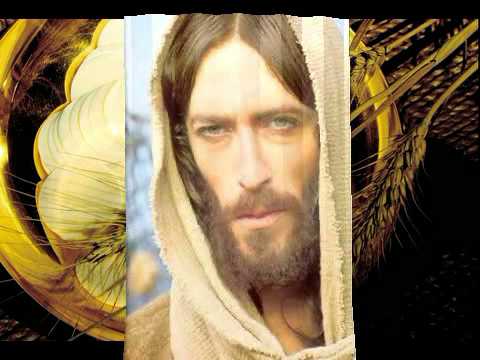 UN GERMOGLIO SPUNTA DAL TRONCO DI JESSE' ...KIKO ARGUELLO