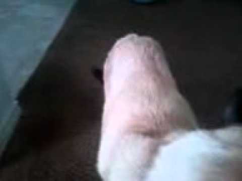 video-2011-02-13-08-44-22