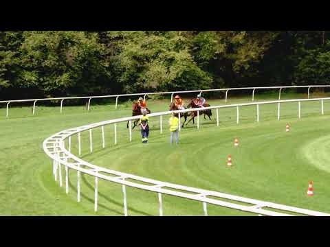 Aarau/27.08.2017/Preis der Firma Intool AG - Poneys D