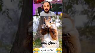 احلا نغمة منبه هههه صباح الخير لكل المتابعين هههه فيديوهات مضحكة funny اكسبلور اضحك صباح الخير