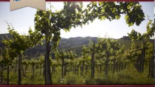 preview picture of video 'Weingut Georgiberg'