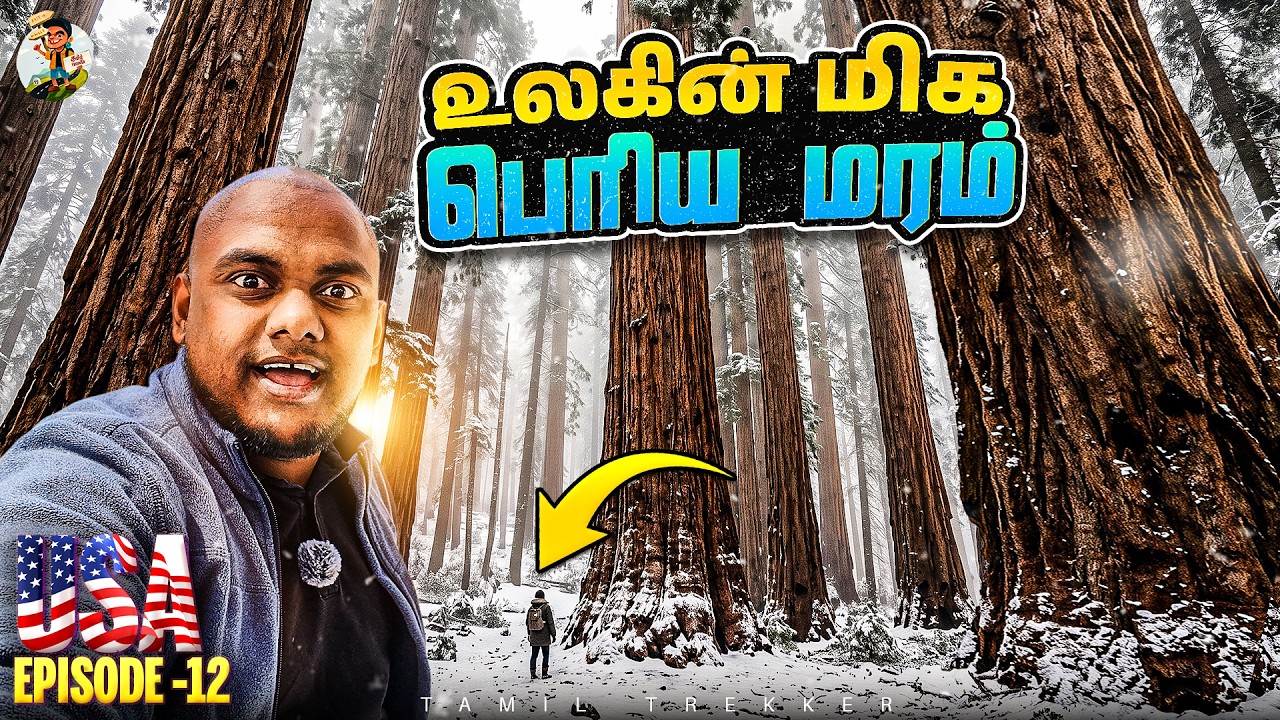 இதெல்லாம் நிஜமா? பயங்கரமா இருக்கு | USA Series EP - 12 | Tamil Trekker