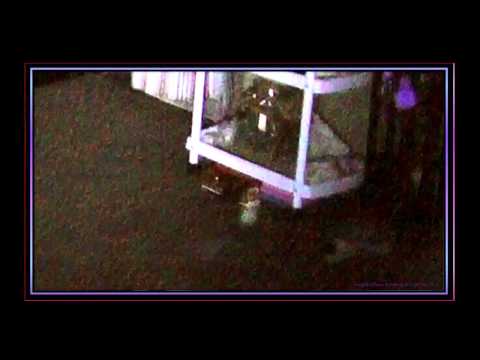 #1 BEST PROOF OF AFTER LIFE- EMILY'S SONG - Guiding God's Creatures Into The Light