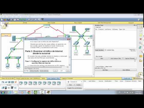 Packet Tracer Actividad 3.3.3.3