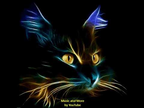 Anastacia x Peter Maffay   Just You