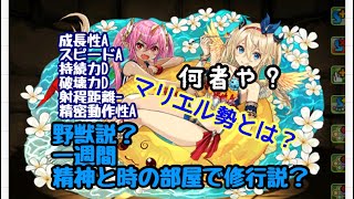 マリエル勢さんについて解説