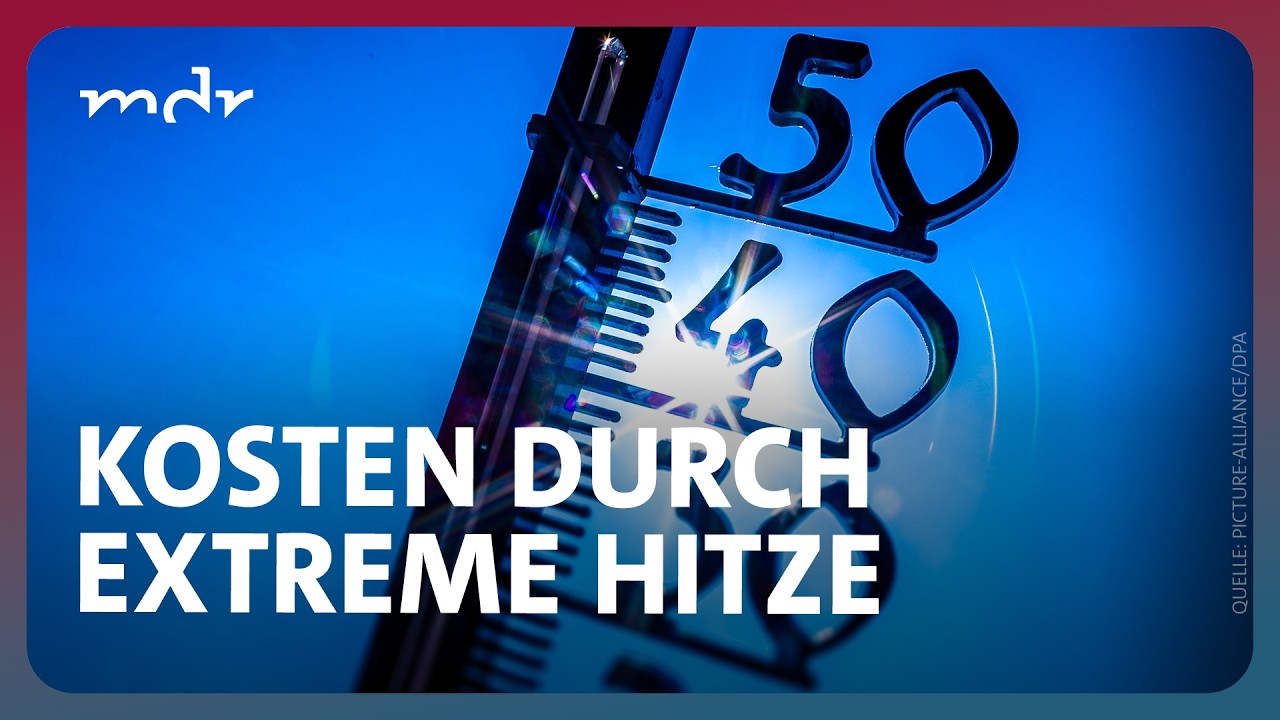 Abgebrannt und ausgedörrt: Was kosten uns die Hitzesommer? | Fakt ist! | MDR