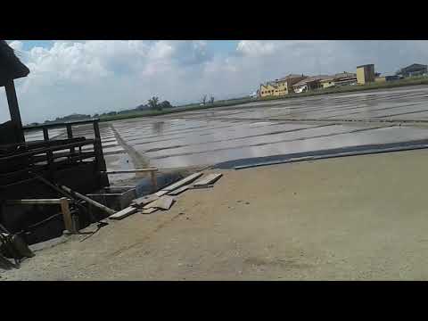 Parte 5 la Salina la Salina la salinaaaa QUANTA IGNORANZA