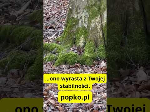 [Encyklopedia Wiedzy Duchowej] Przestań szukać oparcia w innych – znajdź je w sobie. ???? Twoja stabilność to Twoja supermoc. Połącz