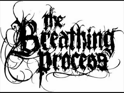 The Breathing Process- The Sleeping Darkness