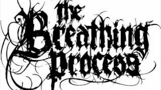 The Breathing Process- The Sleeping Darkness