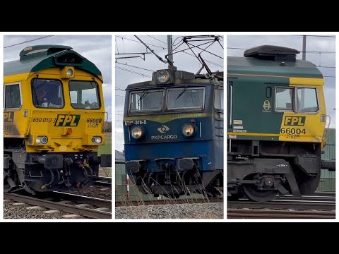 Najsilniejsze lokomotywy na LK226 transport węgla Class66004 Class66009 ET42-010 Gdańsk Olszynka 🚂
