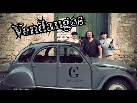 Vendanges à Dernacueillette - Terroirs de gueuletons