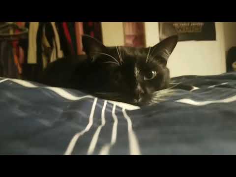 "The sneak behind jovian".😂